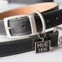 Hue Leather Dog Collar & Lead Set